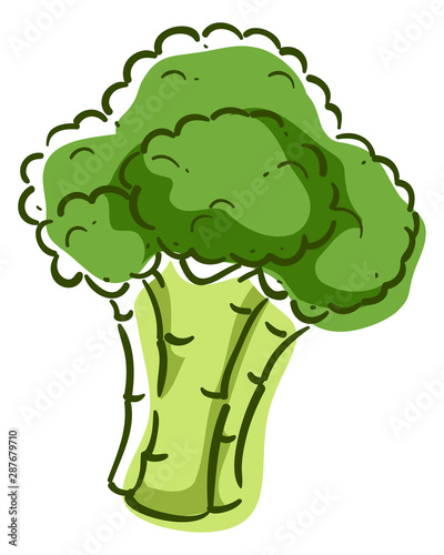 Broccoli Superfood Illustra...