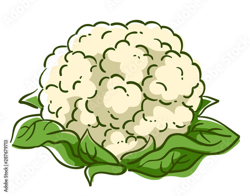 Cauliflower Superfood Illustration