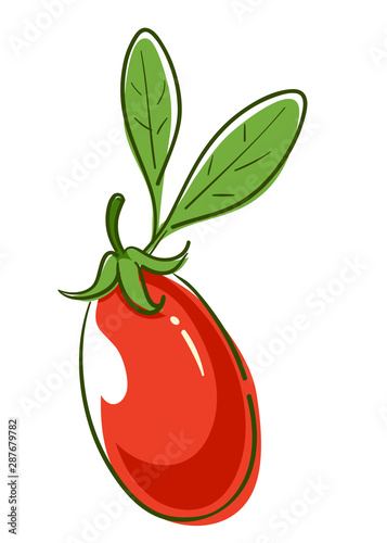 Goji Berry Superfood