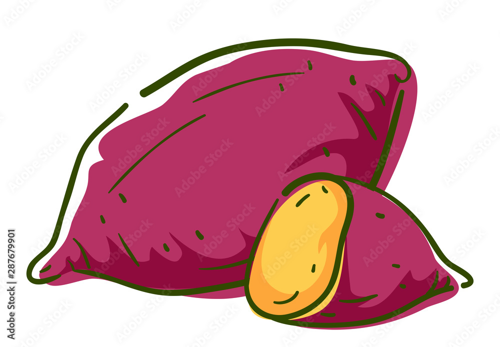 Sweet Potato Superfood Illustration Stock Vector Adobe Stock