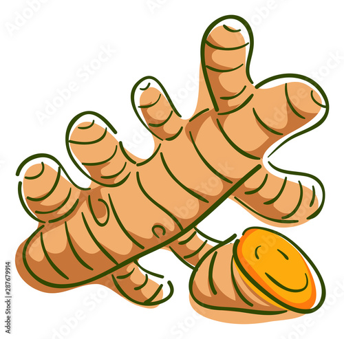 Turmeric Superfood Illustra...