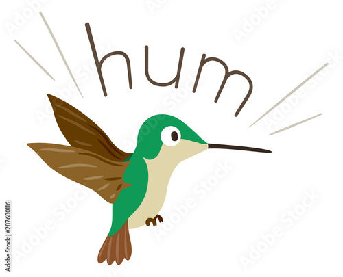 Hummingbird Sound Hum Illustration