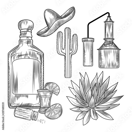 Set of tequila. Shot glass and bottle tequila, salt, lime, blue agave