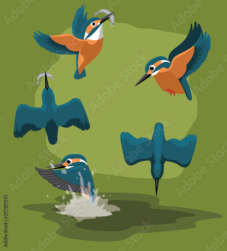 Kingfisher catch fishes Cartoon Vector Animation Sequence