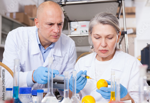 Biochemists injecting chemicals into lemon