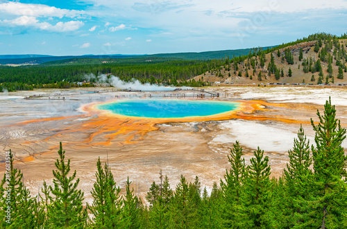 Landscape of the Grand Prismatic Spring through a pine tree forest and distant silhouettes of tourists walking on the elevated walkway, Wyoming, USA, United States of America.