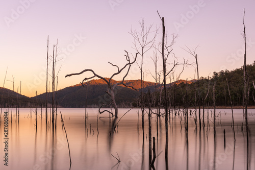 Dead trees reflecting on water during sunset over Advancedtown Lake with beautiful gradient in the background glowing over the hills