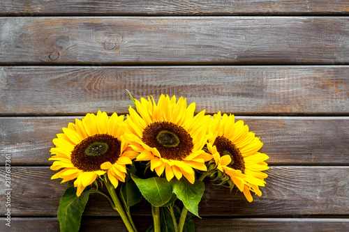 Sunflower on wooden background top view copyspace