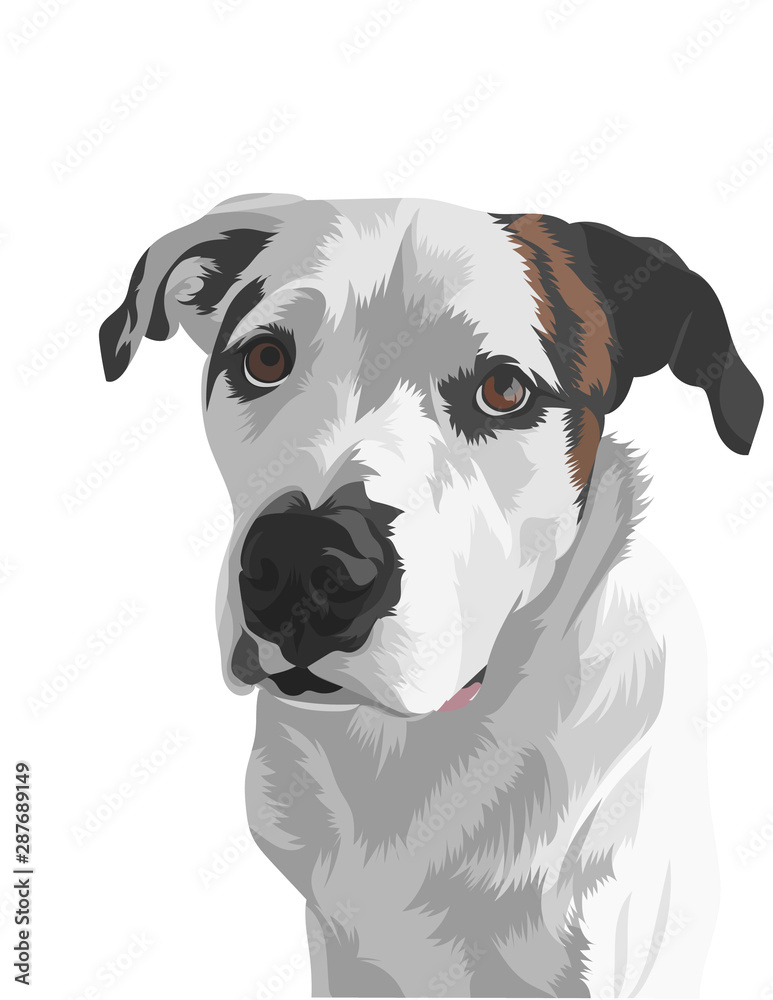 Fototapeta premium portrait of a dog