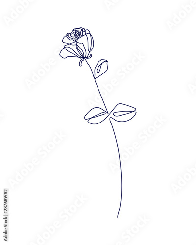 Continuous one line drawing. Beautiful rose flower logo. Vector illustration. Concept for logo  card  banner  poster  flyer