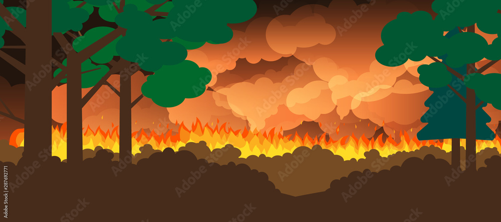 forest fire trees and bushes burning
