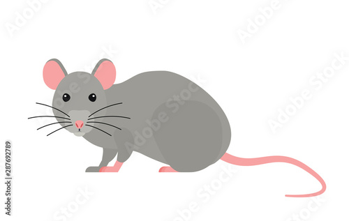 cute cartoon rat flat illustration