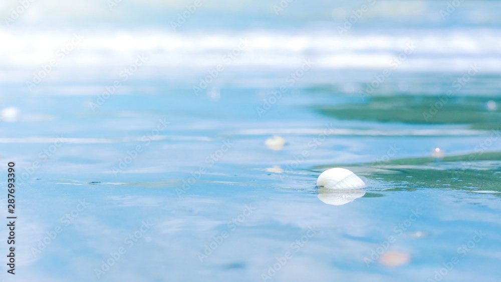 Close up white small shell on tropical sand beach with soft wave bubbles foams of blue water ocean sea blurred background , vacation holiday nature background concept. Close up white small shell on tropical sand beach with soft wave bubbles foams of blue water ocean sea blurred background , vacation holiday nature background concept.