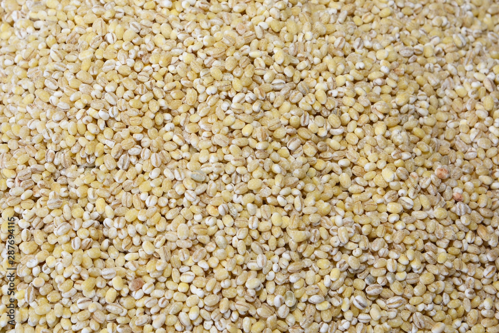 Barley (Hordeum vulgare) is a major cereal grain grown in temperate climates globally. Barley (Hordeum vulgare) is a major cereal grain grown in temperate climates globally.