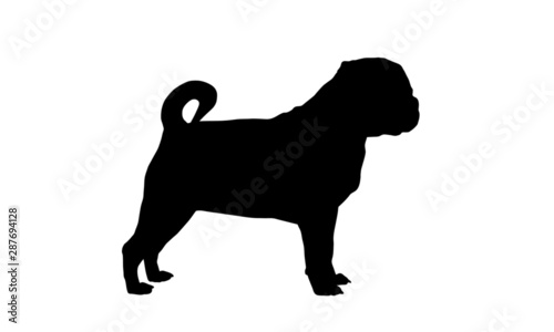 Mops Silhouette