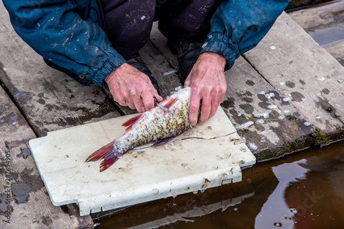 a fisherman cleans a fish with a knife from a bridge on a large river