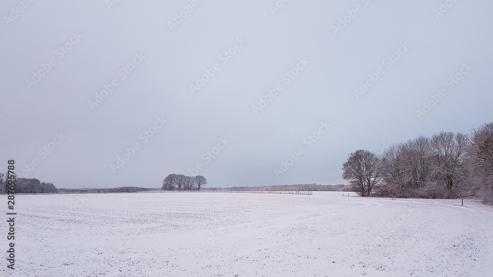 Winteridylle in Westfalen