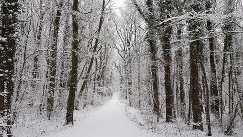 Winteridylle in Westfalen