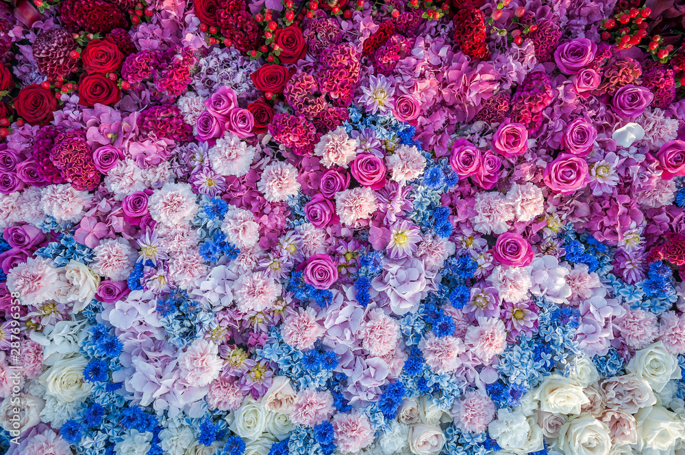 Flowers background. Flower arrangement of roses, cornflowers, carnations and hydrangeas. Flowerbed, top view, copy space. Gretting card, postcard.