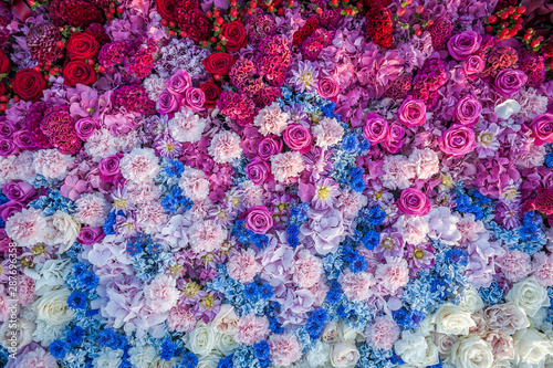 Flowers background. Flower arrangement of roses, cornflowers, carnations and hydrangeas. Flowerbed, top view, copy space. Gretting card, postcard.