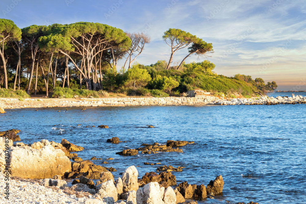 Ile Paradisiaque A Cannes Cote D Azur Provence France Ile Sainte Marguerite Archipel Des Iles De Lerins Au Lever Du Soleil Avec Ses Pins Parasol Centenaires Stock Photo Adobe Stock Ile Paradisiaque A Cannes Cote D Azur Provence France Ile Sainte Marguerite Archipel Des Iles De Lerins Au Lever Du Soleil Avec Ses Pins Parasol Centenaires Stock Photo Adobe Stock