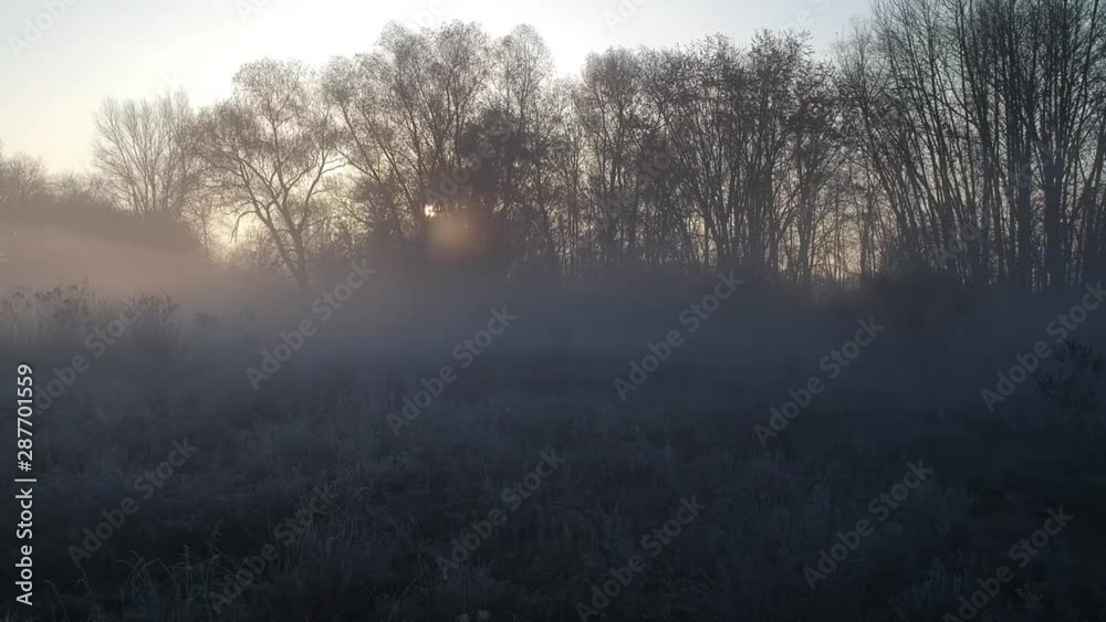 dawn of deep autumn. almost spring. Hoarfrost and fog in the forest dawn of deep autumn. almost spring. Hoarfrost and fog in the forest