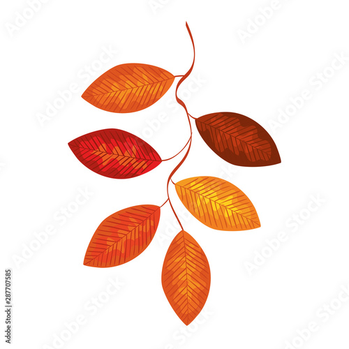 autumn branch with dry leafs nature icon