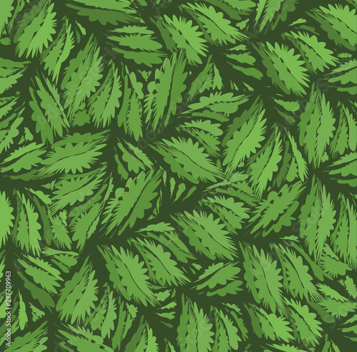 background of fern leaves