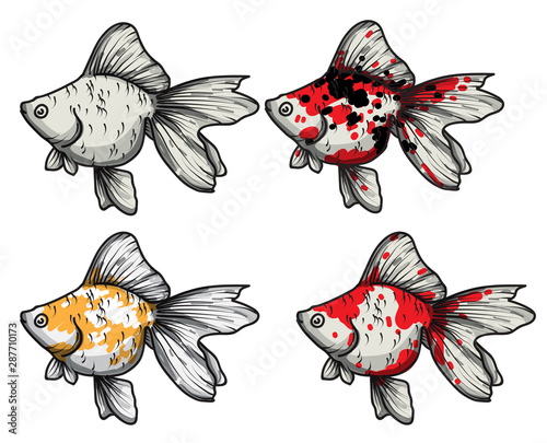 goldfish hand drawing set vector illustration isolated on white background