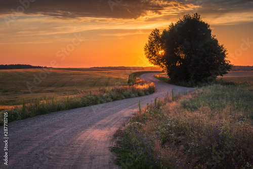 Masurian road with a lonely tree during sunset near Banie Mazurskie photo