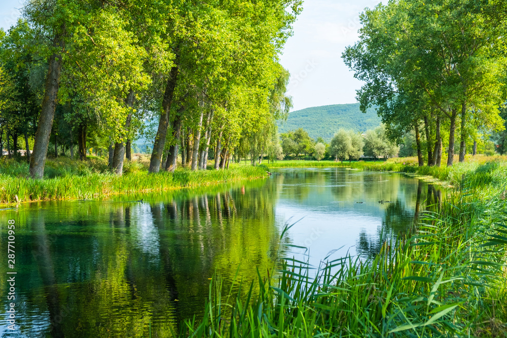 Beautiful Gacka river flowing between trees and fields, summer view, Lika region of Croatia - obrazy, fototapety, plakaty 