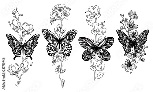 Tattoo art butterfly sketch black and white