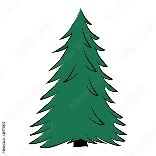 Green conifer. Christmas tree without decorations on abelny background.