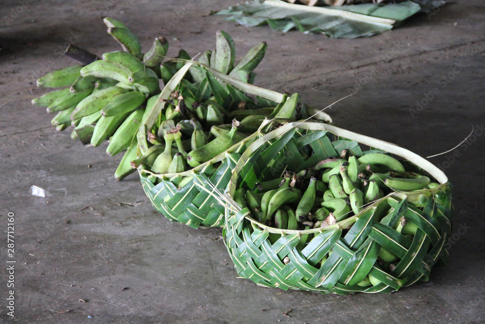 Samoan using coconut leaves to weave a basket for carrying the