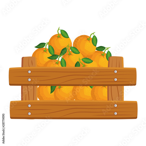 fresh oranges fruits in wooden box