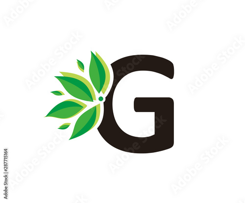 Nature Leaves Letter G Logo Icon, eco green concept.