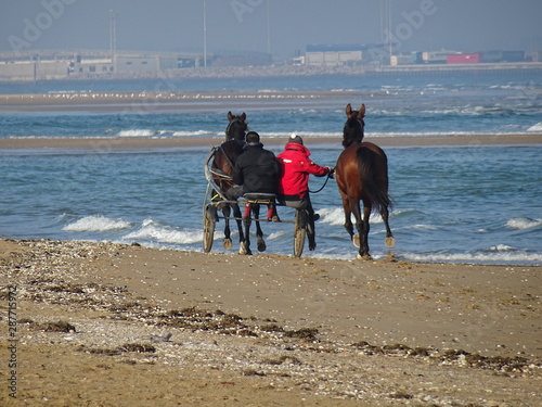 two horses on the beach with a buggy