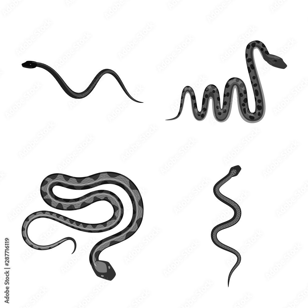 Vector illustration of harm and bite symbol. Collection of harm and reptile stock symbol for web. Vector illustration of harm and bite symbol. Collection of harm and reptile stock symbol for web.