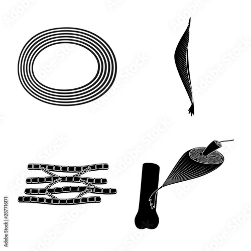 Vector illustration of human and body symbol. Set of human and cells vector icon for stock.