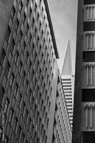 San Francisco views 2