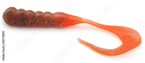 Obraz na plátně Silicon jig worm as artificial bait