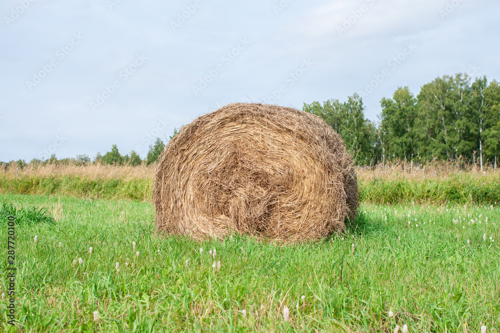 Stack of hay on grass