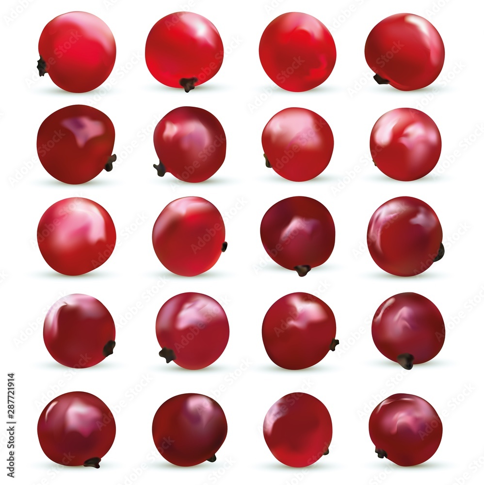3D realistic berry isolated on white background. Red currant berry close up. Collection of single red summer berries. Vector illustration. 3D realistic berry isolated on white background. Red currant berry close up. Collection of single red summer berries. Vector illustration.
