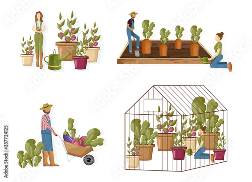 Gardeners set collection Vector flat style. Woman and man working in the greenhouse planting, harvesting and growing eco products