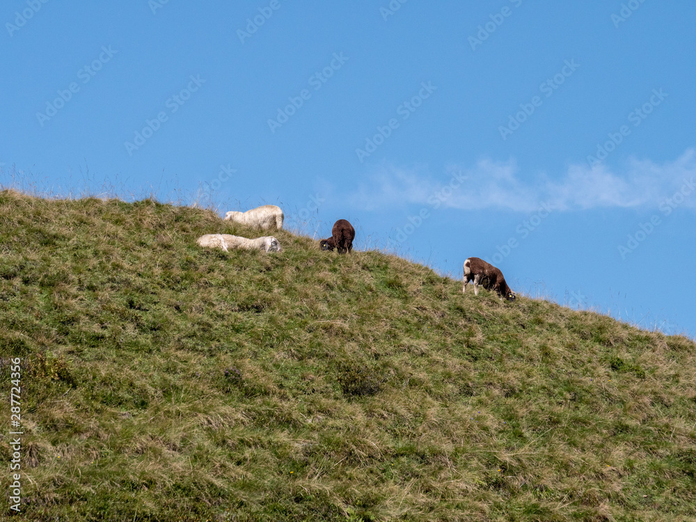 Obraz premium Kitzsteinhorn