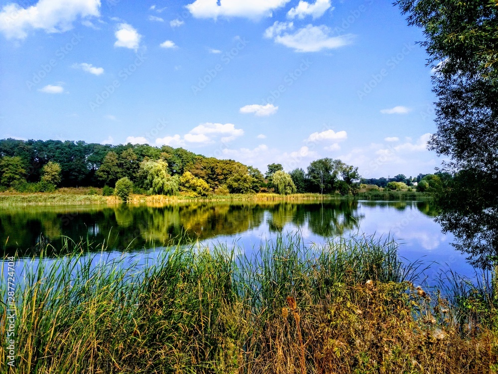 Fototapeta premium Landskape.lake.water.Sky.tree, blue, forest