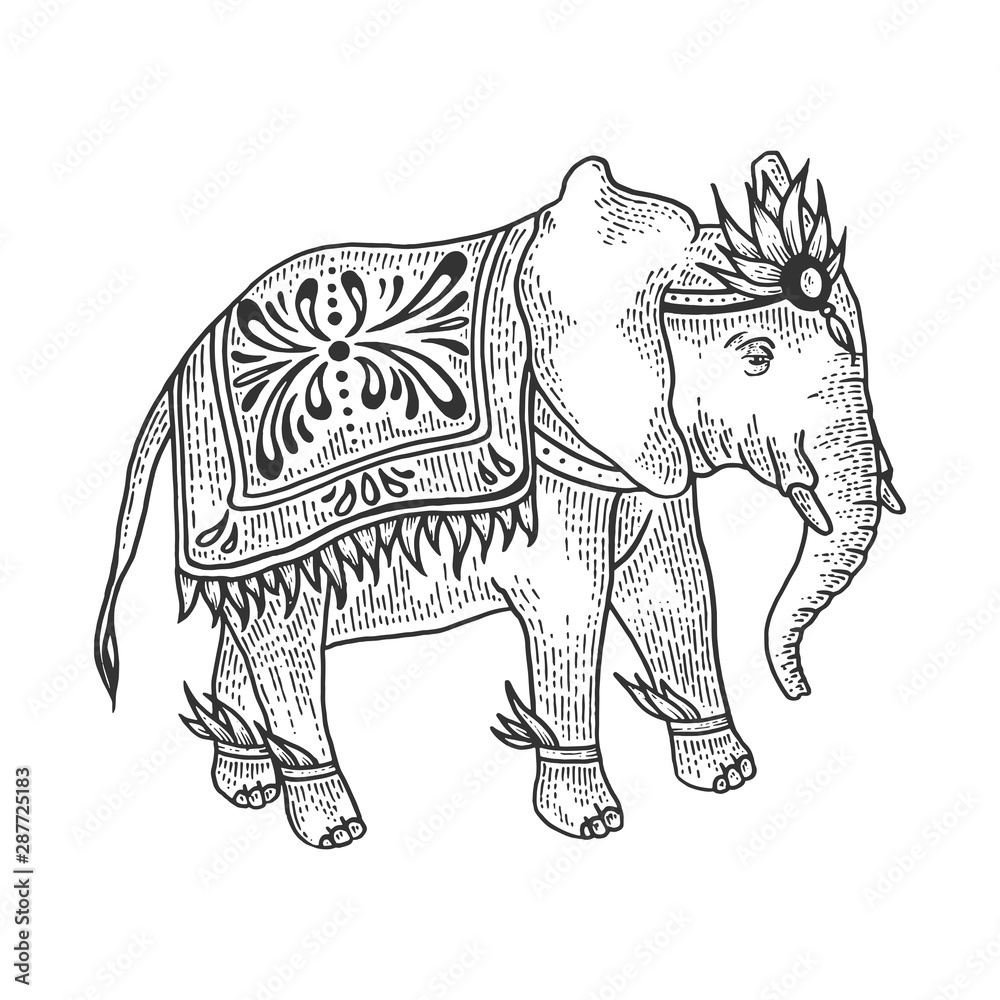 Fototapeta premium Indian elephant animal sketch engraving vector illustration. Tee shirt apparel print design. Scratch board style imitation. Black and white hand drawn image.
