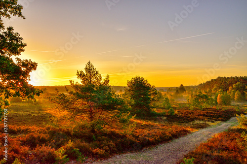 Sonnenaufgang Sonnenuntergang in der Lüneburger Heide photo