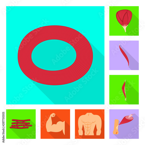 Isolated object of muscle and cells symbol. Set of muscle and anatomy stock vector illustration.