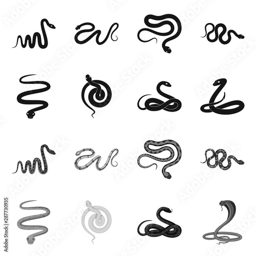Vector design of mammal and danger icon. Collection of mammal and medicine vector icon for stock.